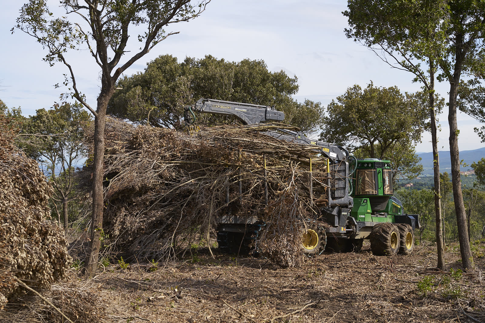 Dettaglio delle catene forestali sul terreno