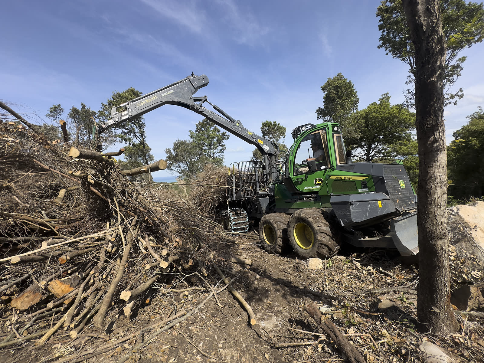 Sistemazione Forestale a San Vincenzo