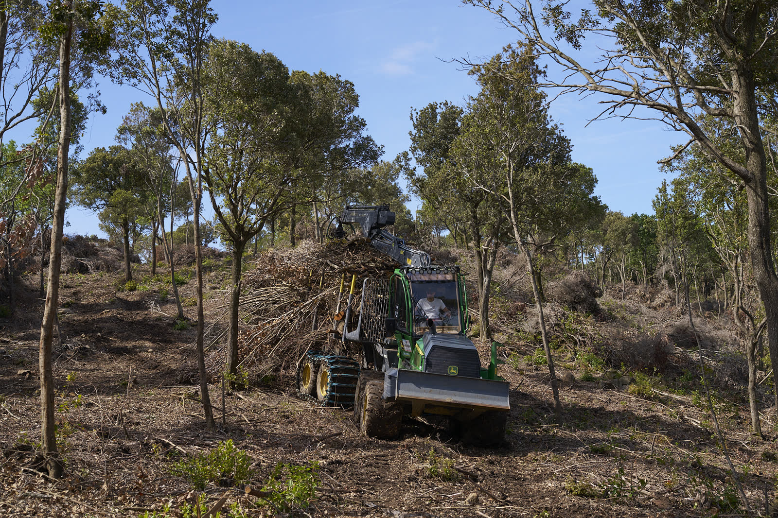 Esbosco in pendenza con il forwarder forestale