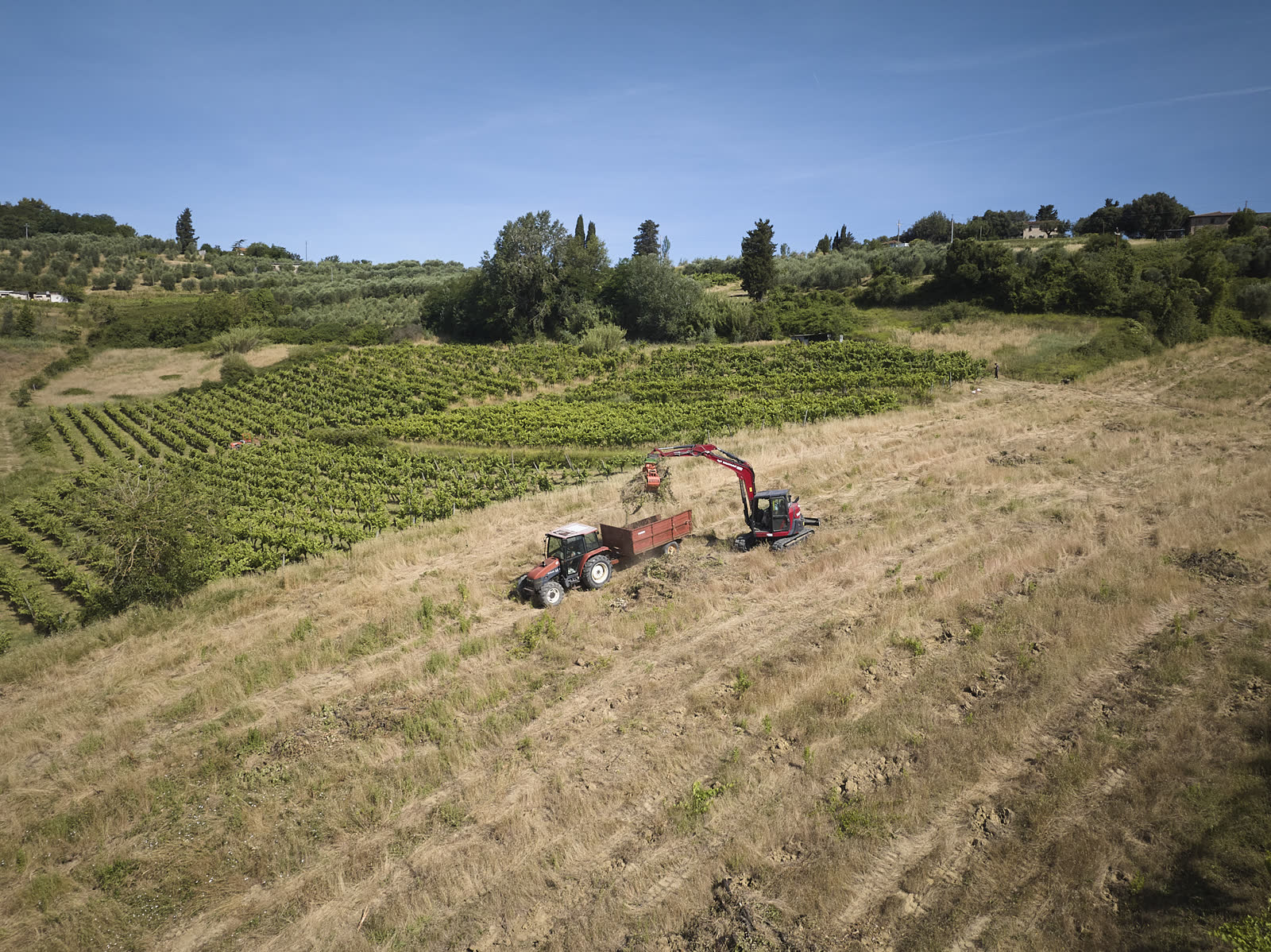 Carico del materiale vegetale sul rimorchio agricolo