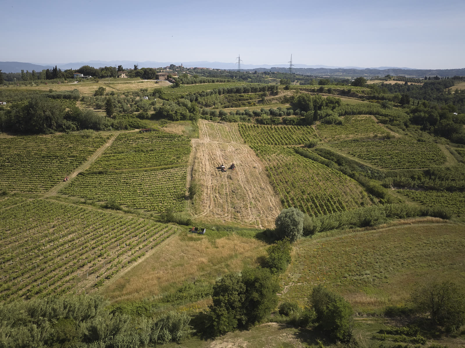 Bonifica di un vigneto a Santo Pietro, con i mezzi al lavoro tra i filari